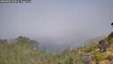 ./images/calvert/foggy-cove/20260808/foggy-cove20260808_103001M.jpg