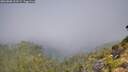 ./images/calvert/foggy-cove/20260808/foggy-cove20260808_103501M.jpg