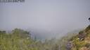 ./images/calvert/foggy-cove/20260808/foggy-cove20260808_104002M.jpg