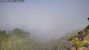 ./images/calvert/foggy-cove/20260808/foggy-cove20260808_104501M.jpg