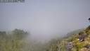 ./images/calvert/foggy-cove/20260808/foggy-cove20260808_110002M.jpg