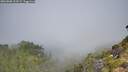 ./images/calvert/foggy-cove/20260808/foggy-cove20260808_110501M.jpg