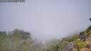 ./images/calvert/foggy-cove/20260808/foggy-cove20260808_111001M.jpg