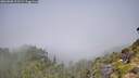 ./images/calvert/foggy-cove/20260808/foggy-cove20260808_111501M.jpg