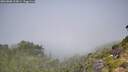 ./images/calvert/foggy-cove/20260808/foggy-cove20260808_112001M.jpg