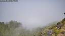 ./images/calvert/foggy-cove/20260808/foggy-cove20260808_112501M.jpg