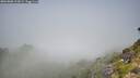 ./images/calvert/foggy-cove/20260808/foggy-cove20260808_113002M.jpg