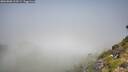 ./images/calvert/foggy-cove/20260808/foggy-cove20260808_113501M.jpg