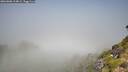./images/calvert/foggy-cove/20260808/foggy-cove20260808_114002M.jpg