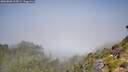 ./images/calvert/foggy-cove/20260808/foggy-cove20260808_115001M.jpg