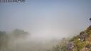 ./images/calvert/foggy-cove/20260808/foggy-cove20260808_115501M.jpg