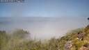 ./images/calvert/foggy-cove/20260808/foggy-cove20260808_120001M.jpg