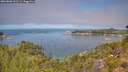 ./images/calvert/foggy-cove/20260808/foggy-cove20260808_122501M.jpg