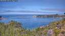 ./images/calvert/foggy-cove/20260808/foggy-cove20260808_123001M.jpg
