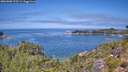 ./images/calvert/foggy-cove/20260808/foggy-cove20260808_123501M.jpg