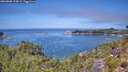 ./images/calvert/foggy-cove/20260808/foggy-cove20260808_124002M.jpg