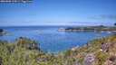 ./images/calvert/foggy-cove/20260808/foggy-cove20260808_124501M.jpg