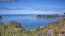 ./images/calvert/foggy-cove/20260808/foggy-cove20260808_125001M.jpg