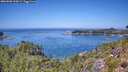 ./images/calvert/foggy-cove/20260808/foggy-cove20260808_130001M.jpg