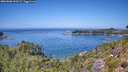 ./images/calvert/foggy-cove/20260808/foggy-cove20260808_130501M.jpg