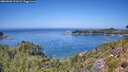 ./images/calvert/foggy-cove/20260808/foggy-cove20260808_131002M.jpg