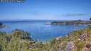 ./images/calvert/foggy-cove/20260808/foggy-cove20260808_131501M.jpg