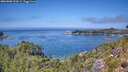 ./images/calvert/foggy-cove/20260808/foggy-cove20260808_132001M.jpg