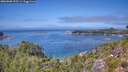 ./images/calvert/foggy-cove/20260808/foggy-cove20260808_133501M.jpg