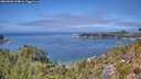 ./images/calvert/foggy-cove/20260808/foggy-cove20260808_134001M.jpg