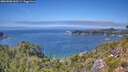 ./images/calvert/foggy-cove/20260808/foggy-cove20260808_140501M.jpg