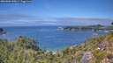 ./images/calvert/foggy-cove/20260808/foggy-cove20260808_142001M.jpg