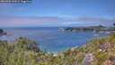 ./images/calvert/foggy-cove/20260808/foggy-cove20260808_143001M.jpg