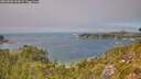 ./images/calvert/foggy-cove/20260808/foggy-cove20260808_144501M.jpg