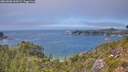 ./images/calvert/foggy-cove/20260808/foggy-cove20260808_145001M.jpg