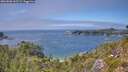 ./images/calvert/foggy-cove/20260808/foggy-cove20260808_145501M.jpg