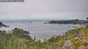 ./images/calvert/foggy-cove/20260808/foggy-cove20260808_154001M.jpg