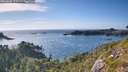 ./images/calvert/foggy-cove/20260808/foggy-cove20260808_175501M.jpg