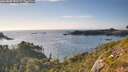./images/calvert/foggy-cove/20260808/foggy-cove20260808_182502M.jpg