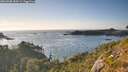 ./images/calvert/foggy-cove/20260808/foggy-cove20260808_184501M.jpg