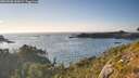 ./images/calvert/foggy-cove/20260808/foggy-cove20260808_185001M.jpg
