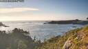 ./images/calvert/foggy-cove/20260808/foggy-cove20260808_192001M.jpg