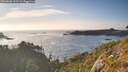 ./images/calvert/foggy-cove/20260808/foggy-cove20260808_192501M.jpg