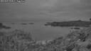 ./images/calvert/foggy-cove/20260809/foggy-cove20260809_054002M.jpg