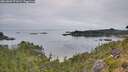 ./images/calvert/foggy-cove/20260809/foggy-cove20260809_071002M.jpg