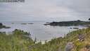 ./images/calvert/foggy-cove/20260809/foggy-cove20260809_072001M.jpg