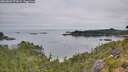 ./images/calvert/foggy-cove/20260809/foggy-cove20260809_073002M.jpg