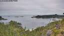 ./images/calvert/foggy-cove/20260809/foggy-cove20260809_074001M.jpg