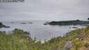 ./images/calvert/foggy-cove/20260809/foggy-cove20260809_075501M.jpg