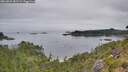 ./images/calvert/foggy-cove/20260809/foggy-cove20260809_081502M.jpg