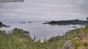 ./images/calvert/foggy-cove/20260809/foggy-cove20260809_082502M.jpg
